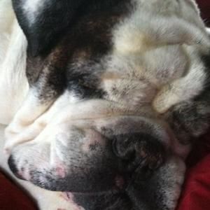 Meet your Posher, Angie